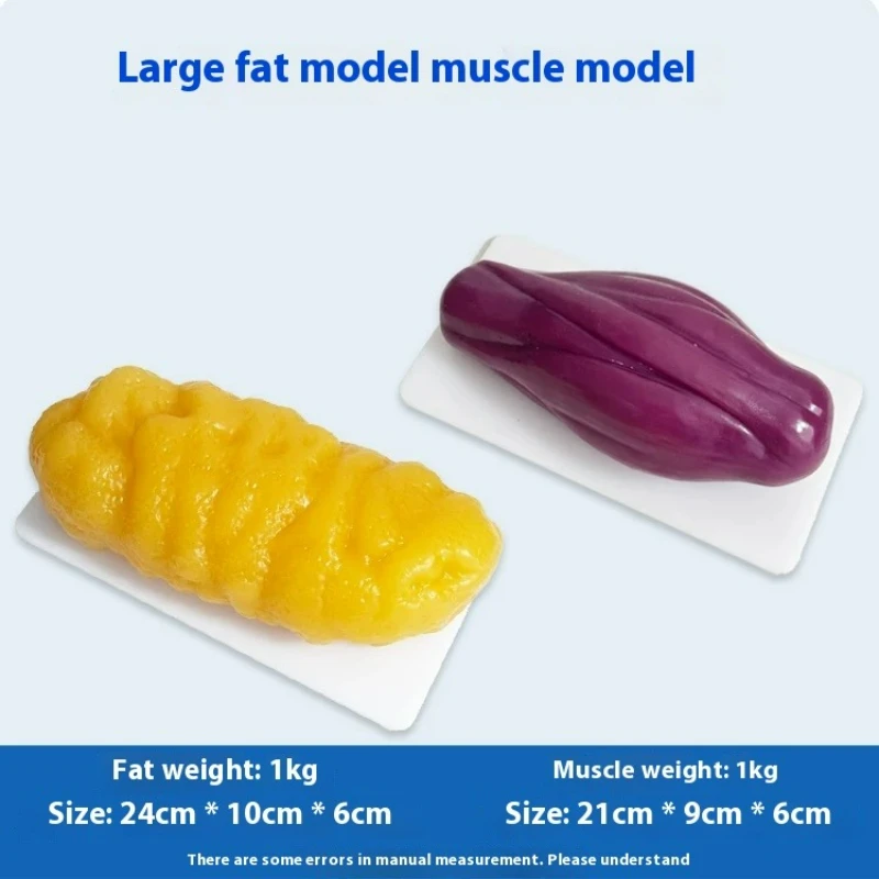 Human Muscle and Fat Replicas  - огляд і ціна Nutrition Of Fitness